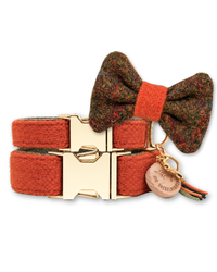 Hundehalsband mit grüner Wechsel-Fliege aus Harris Tweed – Rosi in Autumn Ember