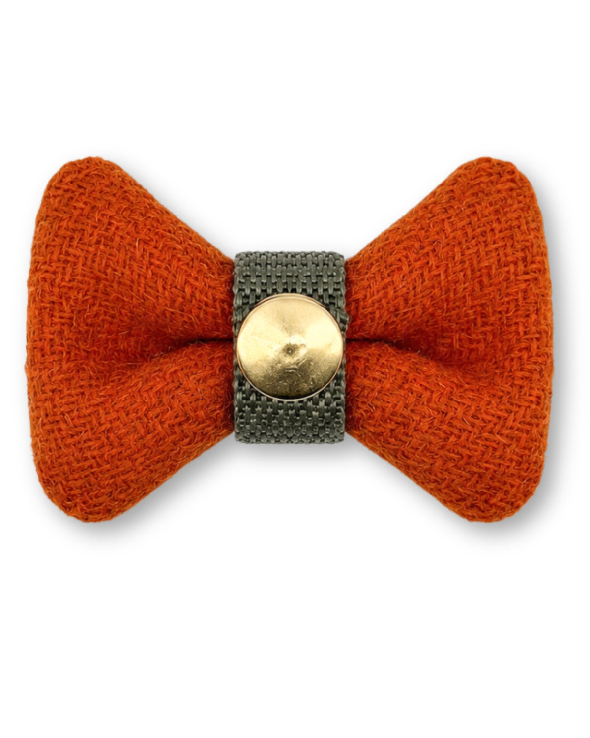 Orange Hundefliege aus Harris Tweed von hinten mit Druckknopf – Winnie in Foxglove