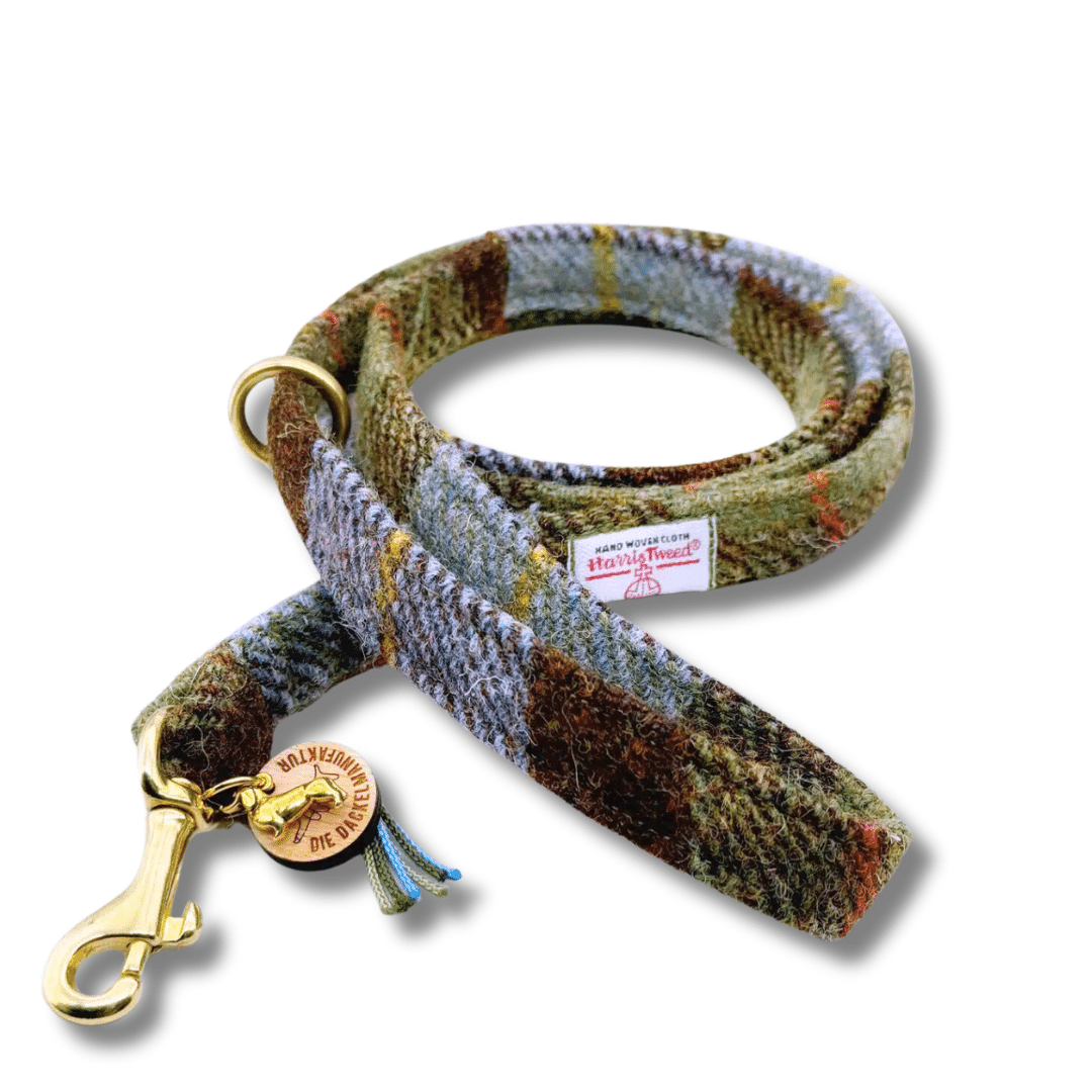 Zwei handgefertigte Hundeleinen für Dackel – eine aus HARRIS TWEED® im Tartan-Muster, eine aus robustem Paracord in Blau-Grün